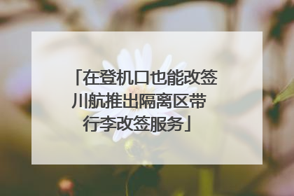 在登机口也能改签 川航推出隔离区带行李改签服务