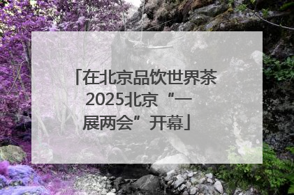 在北京品饮世界茶 2025北京“一展两会”开幕
