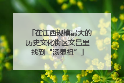 在江西规模最大的历史文化街区文昌里找到“汤显祖”