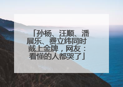 孙杨、汪顺、潘展乐、费立纬同时戴上金牌，网友：看懂的人都哭了