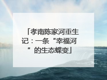 孝南陈家河重生记：一条“幸福河”的生态蝶变