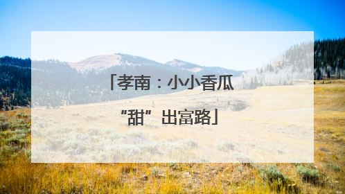 孝南：小小香瓜 “甜”出富路