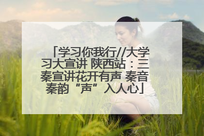 学习你我行//大学习大宣讲 陕西站：三秦宣讲花开有声 秦音秦韵“声”入人心