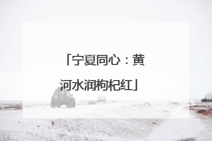 宁夏同心：黄河水润枸杞红