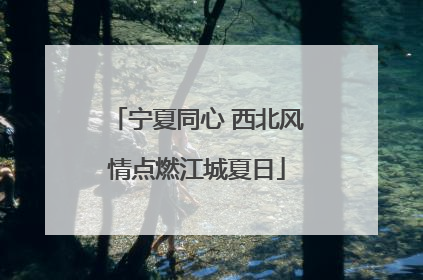 宁夏同心 西北风情点燃江城夏日