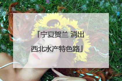 宁夏贺兰 淌出西北水产特色路