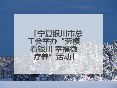 宁夏银川市总工会举办“劳模看银川 幸福微疗养”活动