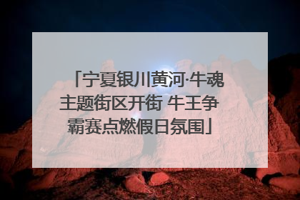 宁夏银川黄河·牛魂主题街区开街 牛王争霸赛点燃假日氛围