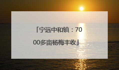 宁远中和镇：7000多亩杨梅丰收