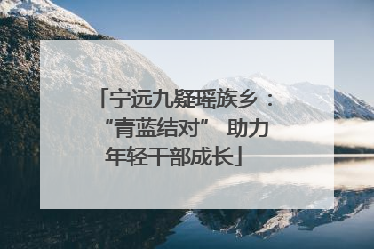 宁远九疑瑶族乡：“青蓝结对” 助力年轻干部成长