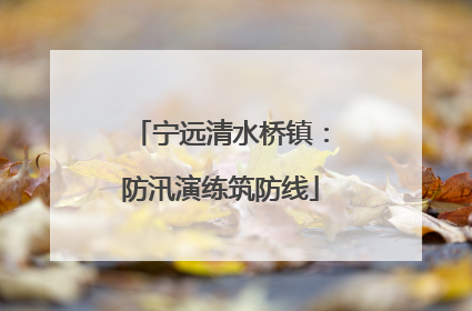 宁远清水桥镇：防汛演练筑防线