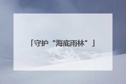 守护“海底雨林”