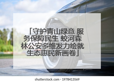 守护青山绿意 服务保障民生 蛟河森林公安多维发力绘就生态惠民新画卷