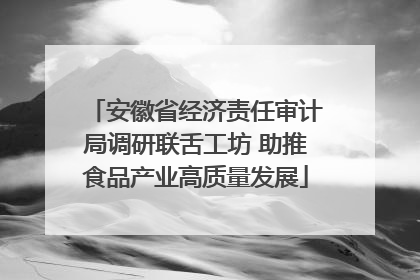 安徽省经济责任审计局调研联舌工坊 助推食品产业高质量发展