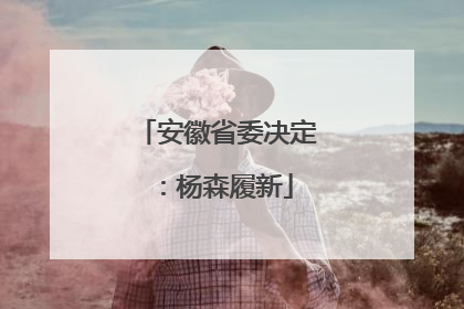 安徽省委决定：杨森履新