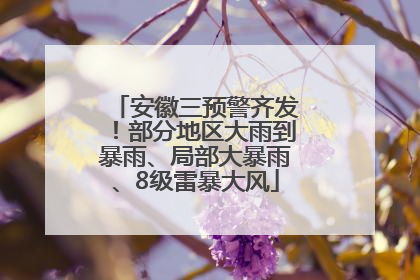 安徽三预警齐发！部分地区大雨到暴雨、局部大暴雨、8级雷暴大风
