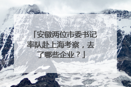 安徽两位市委书记率队赴上海考察，去了哪些企业？
