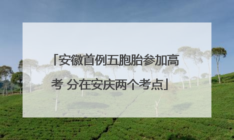 安徽首例五胞胎参加高考 分在安庆两个考点