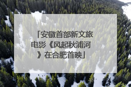安徽首部新文旅电影《风起秋浦河》在合肥首映