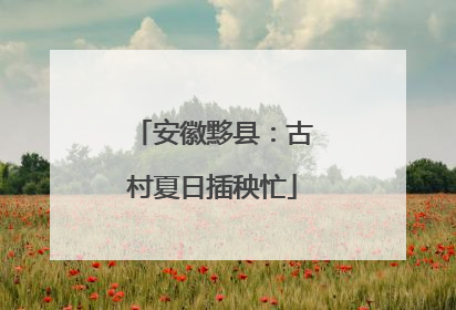 安徽黟县：古村夏日插秧忙