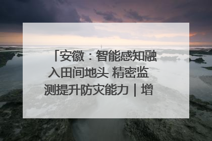 安徽：智能感知融入田间地头 精密监测提升防灾能力｜增发国债气象项目落地见效系列报道