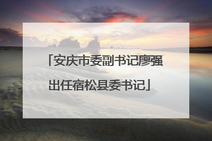 安庆市委副书记廖强出任宿松县委书记