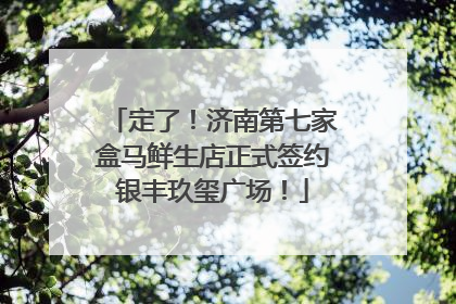 定了！济南第七家盒马鲜生店正式签约银丰玖玺广场！