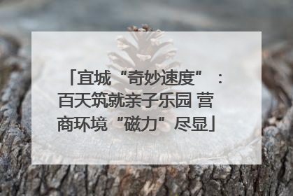 宜城“奇妙速度”：百天筑就亲子乐园 营商环境“磁力”尽显