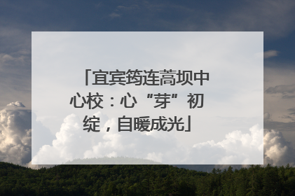 宜宾筠连蒿坝中心校：心“芽”初绽，自暖成光