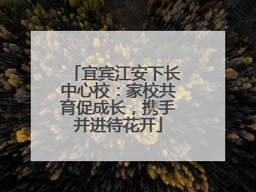 宜宾江安下长中心校：家校共育促成长，携手并进待花开