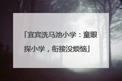 宜宾洗马池小学：童眼探小学，衔接没烦恼