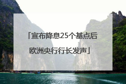 宣布降息25个基点后 欧洲央行行长发声