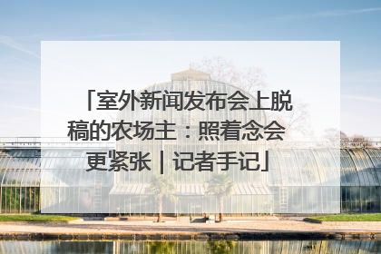 室外新闻发布会上脱稿的农场主：照着念会更紧张｜记者手记