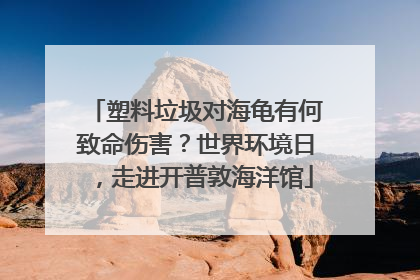 塑料垃圾对海龟有何致命伤害？世界环境日，走进开普敦海洋馆