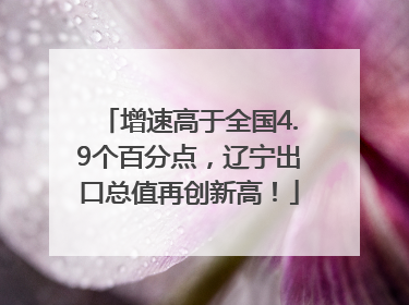 增速高于全国4.9个百分点，辽宁出口总值再创新高！