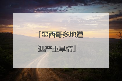 墨西哥多地遭遇严重旱情