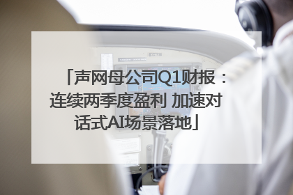 声网母公司Q1财报：连续两季度盈利 加速对话式AI场景落地