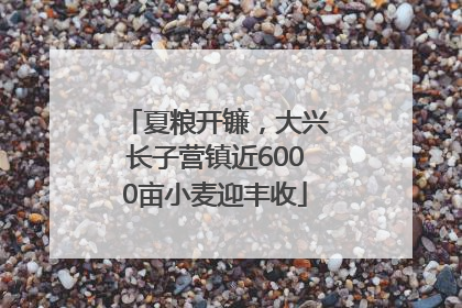 夏粮开镰，大兴长子营镇近6000亩小麦迎丰收