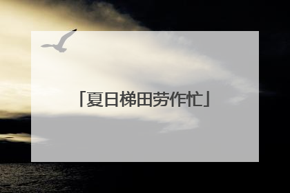夏日梯田劳作忙