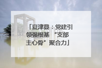 夏津县：党建引领强根基 “支部主心骨”聚合力