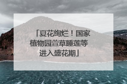 夏花绚烂！国家植物园萱草睡莲等进入盛花期