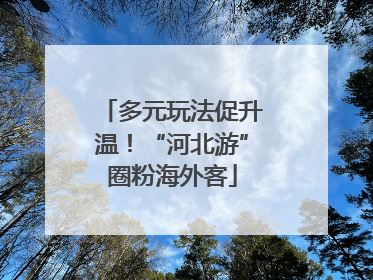 多元玩法促升温！“河北游”圈粉海外客