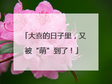 大喜的日子里，又被“萌”到了！
