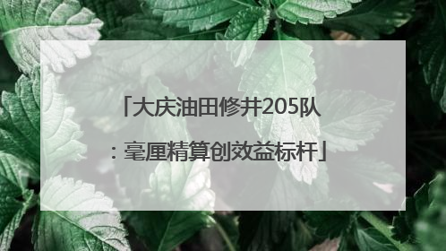 大庆油田修井205队：毫厘精算创效益标杆