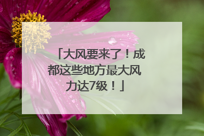 大风要来了！成都这些地方最大风力达7级！