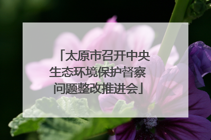 太原市召开中央生态环境保护督察问题整改推进会