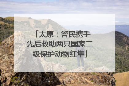 太原：警民携手 先后救助两只国家二级保护动物红隼