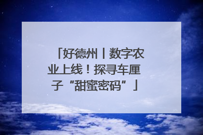 好德州丨数字农业上线！探寻车厘子“甜蜜密码”