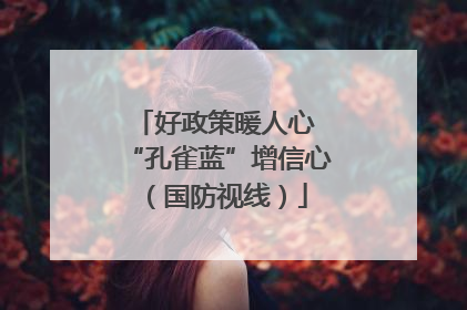 好政策暖人心 “孔雀蓝”增信心（国防视线）