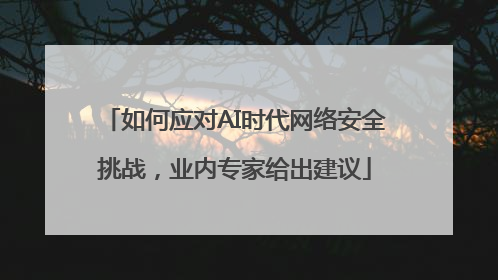 如何应对AI时代网络安全挑战，业内专家给出建议